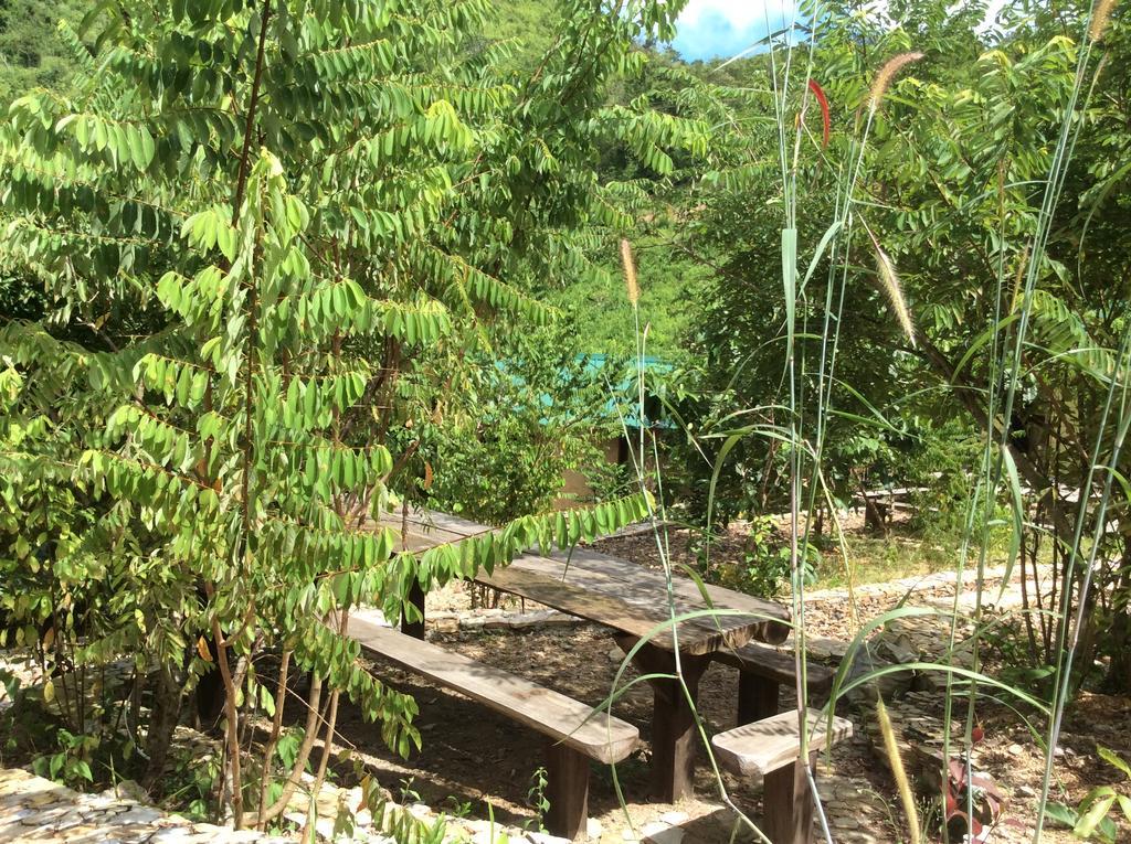 Busuanga Backpackers Hostel Concepcion  Buitenkant foto